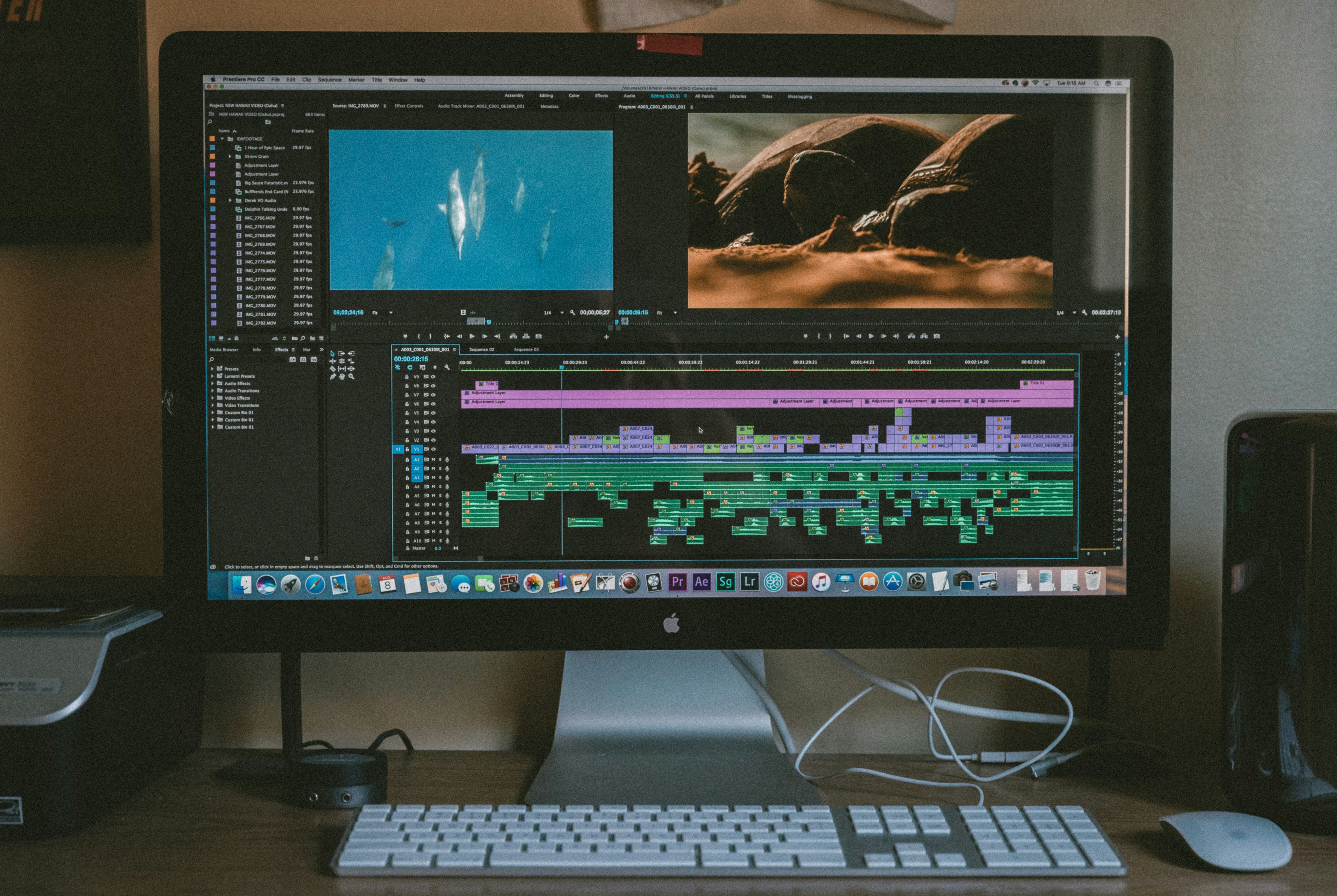 video editing - Pictory vs Synthesia