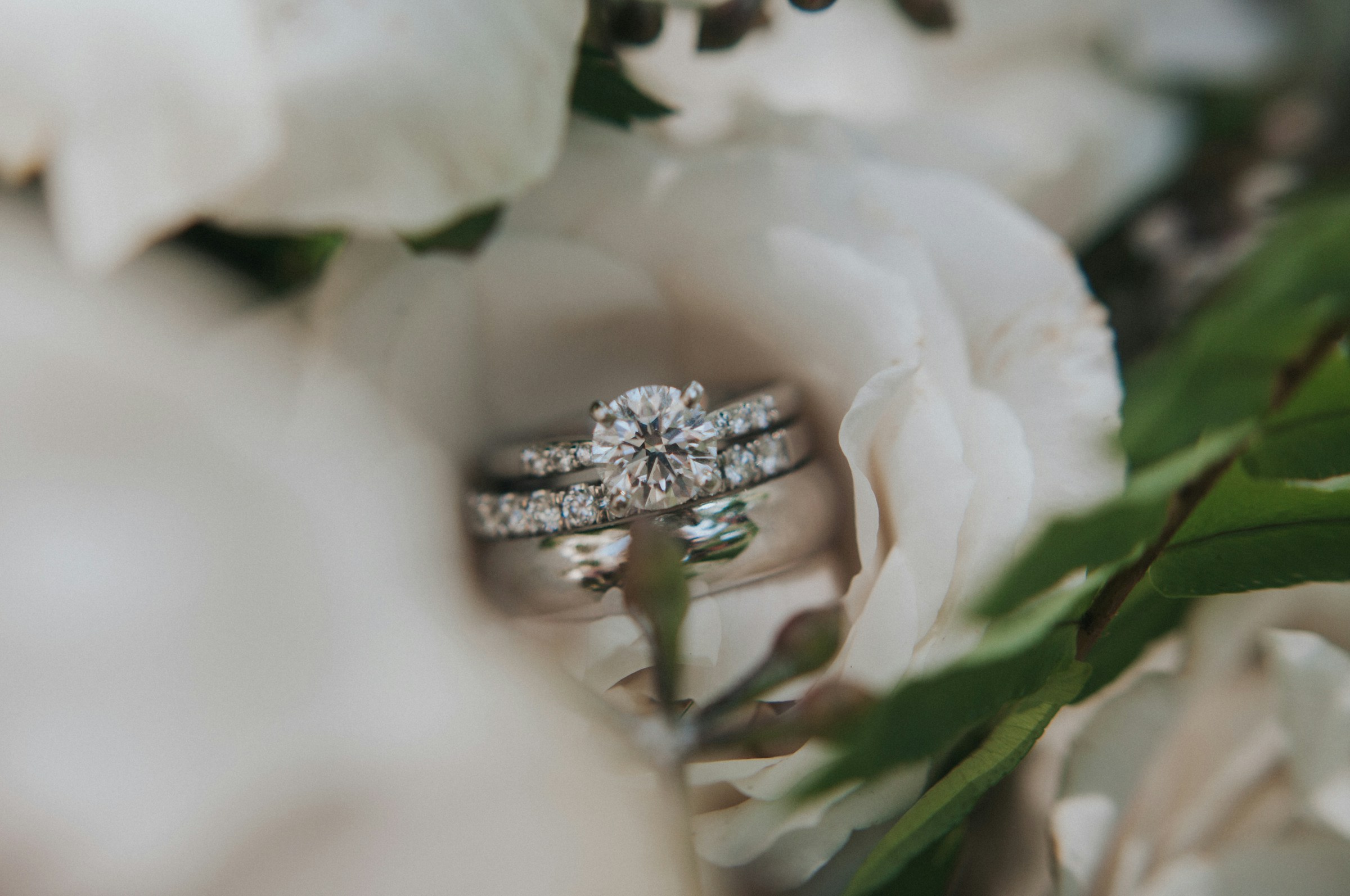 ring in a rose - Creative Jewellery Photography
